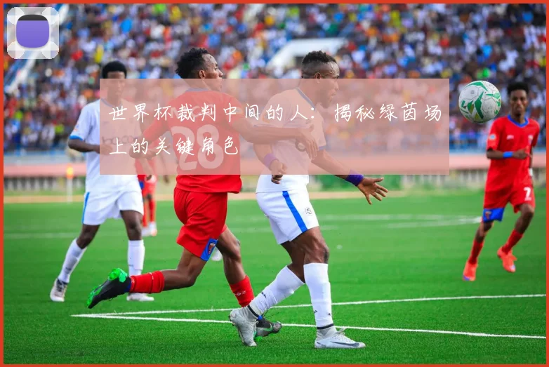 世界杯裁判中间的人：揭秘绿茵场上的关键角色