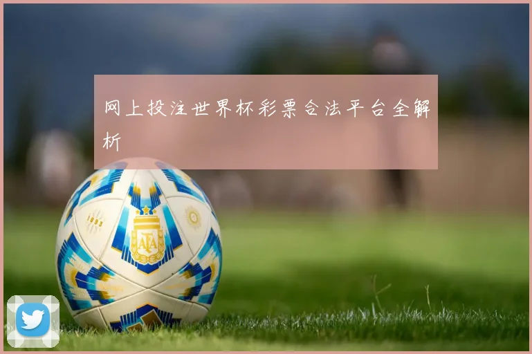 网上投注世界杯彩票合法平台全解析