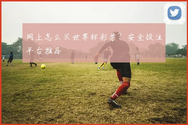 网上怎么买世界杯彩票？安全投注平台推荐