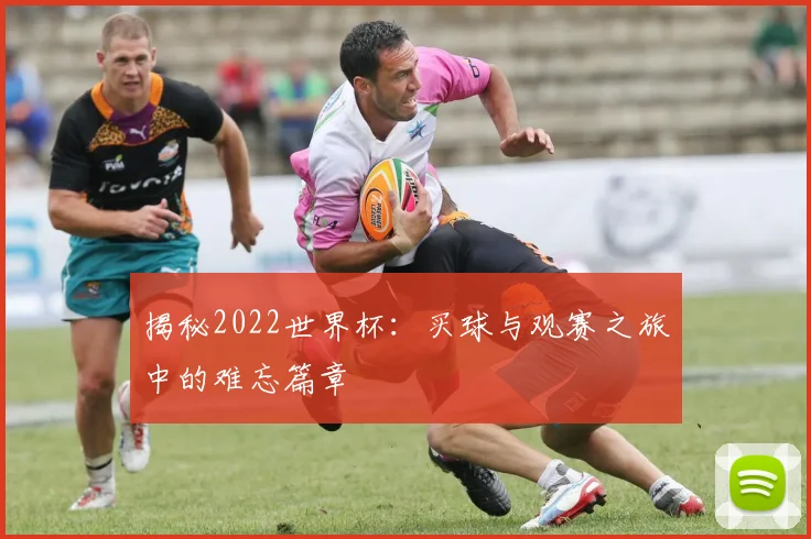 揭秘2022世界杯：买球与观赛之旅中的难忘篇章