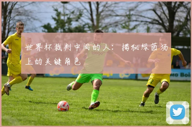 世界杯裁判中间的人：揭秘绿茵场上的关键角色