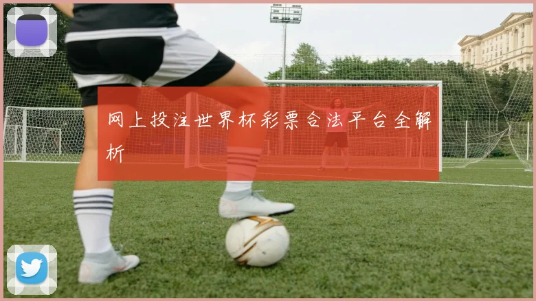 网上投注世界杯彩票合法平台全解析