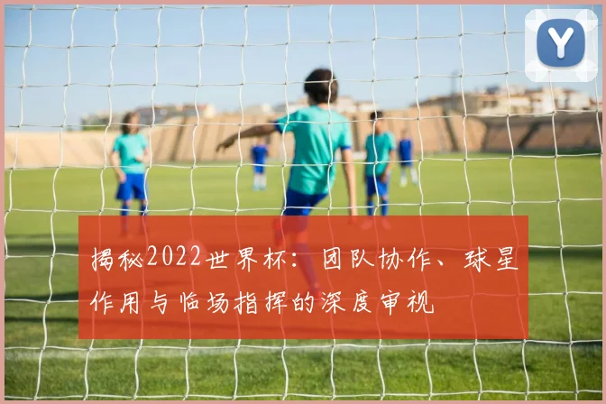 揭秘2022世界杯：团队协作、球星作用与临场指挥的深度审视