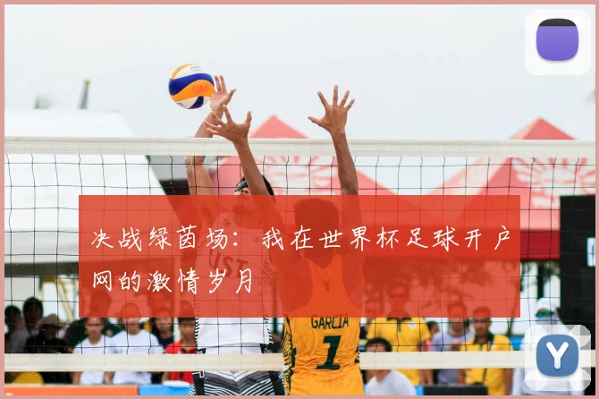 决战绿茵场：我在世界杯足球开户网的激情岁月