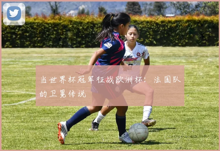 当世界杯冠军征战欧洲杯：法国队的卫冕传说