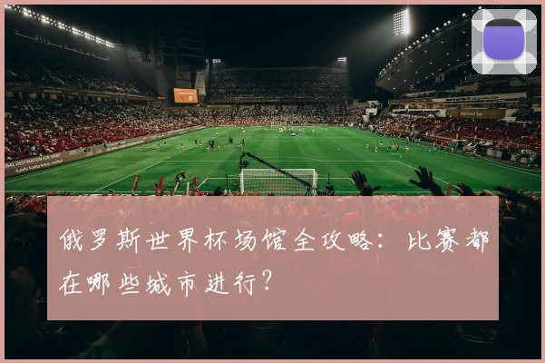 俄罗斯世界杯场馆全攻略：比赛都在哪些城市进行？