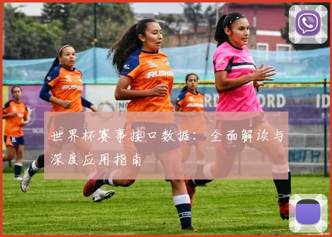 世界杯赛事接口数据：全面解读与深度应用指南