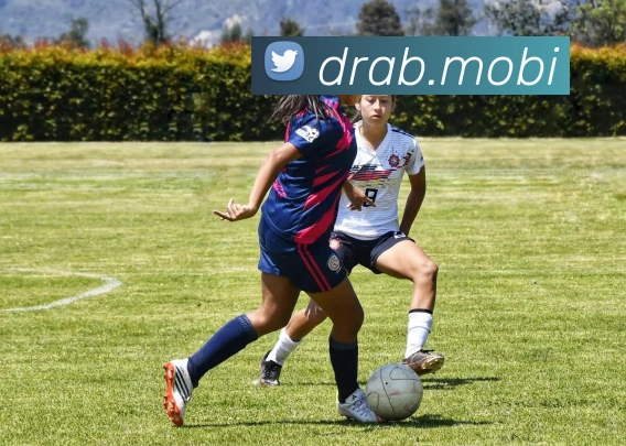 华会体育app官网APP 高清赛事图